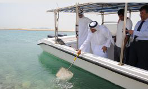 Diyar Al Muharraq Supports Bahrain`s Mariculture Efforts